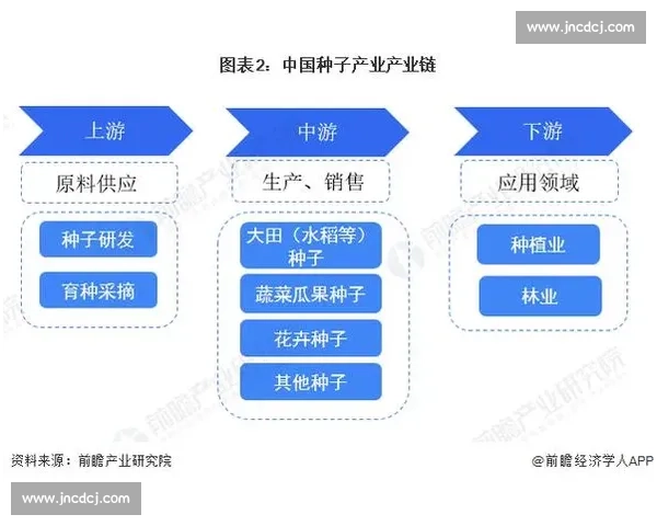 中国与亚洲格局对比中的发展路径与竞争优势解析未来走向研究全景 中国与亚洲格局对比中的发展路径与竞争优势解析未来走向研究全景